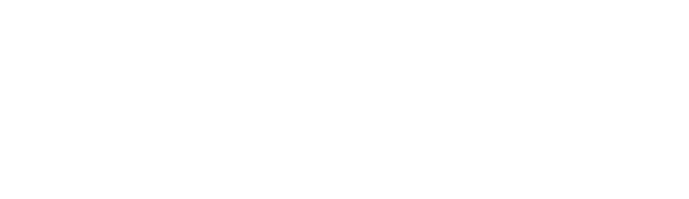 UNIVERSIDADE PRESBITERIANA MACKENZIE